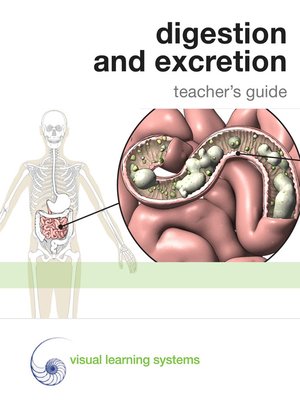 cover image of Digestion and Excretion Teacher's Guide